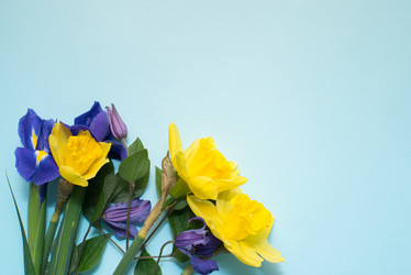 Similar image 13003582