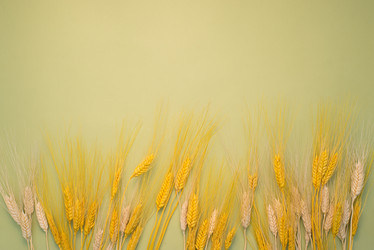 Similar image 13003583