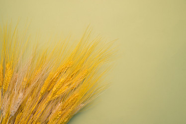 Similar image 13003584