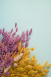 Similar image 13003586