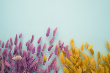 Similar image 13003587