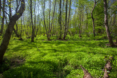 Similar image 13061627