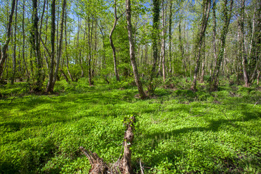 Similar image 13061647