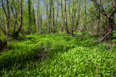 Similar image 13061649