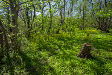 Similar image 13061659