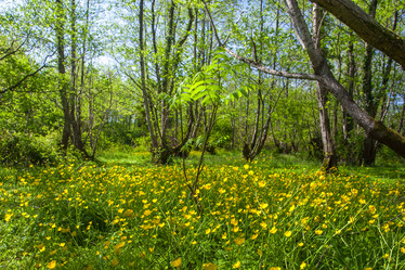 Similar image 13061687