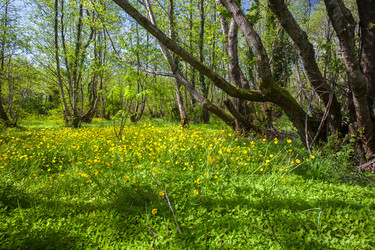 Similar image 13061690