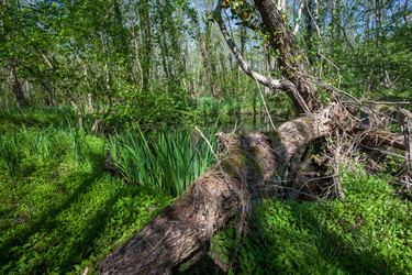 Similar image 13061704