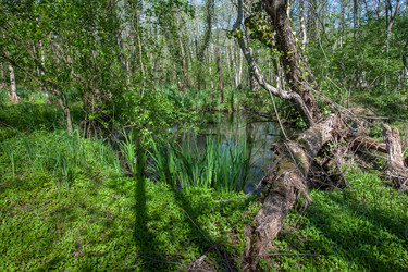 Similar image 13061707