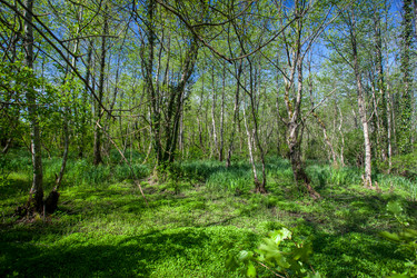 Similar image 13061722