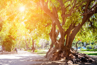 Similar image 13004942