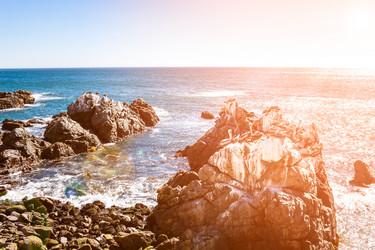 Similar image 13004946