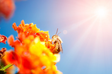 Similar image 13004922