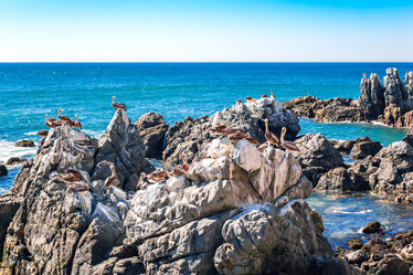 Similar image 13004924