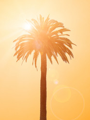 Similar image 13004926