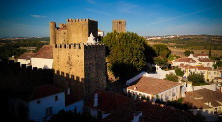 Similar image 13029043