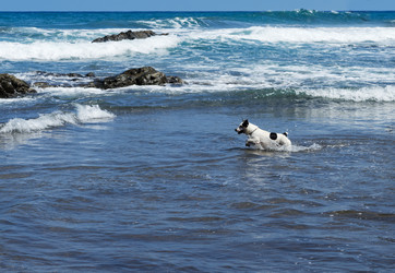 Similar image 13046148