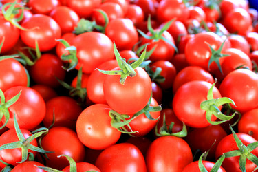 Similar image 13002787