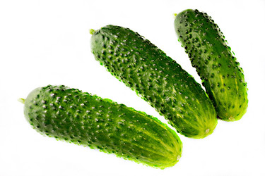 Similar image 13012220