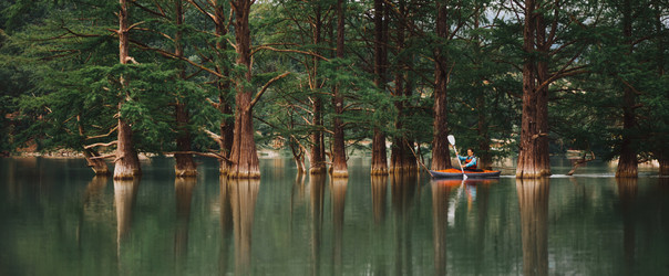 Similar image 13033825