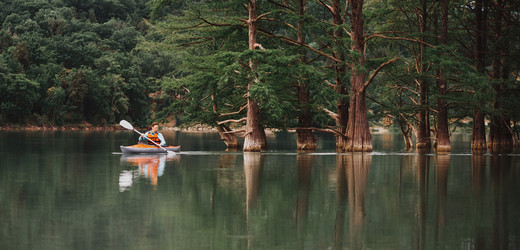 Similar image 13033827