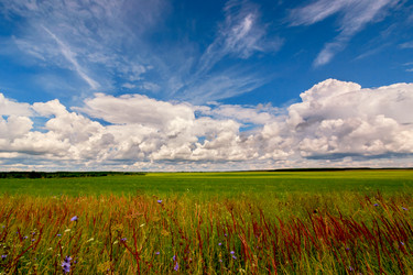 Similar image 13045105