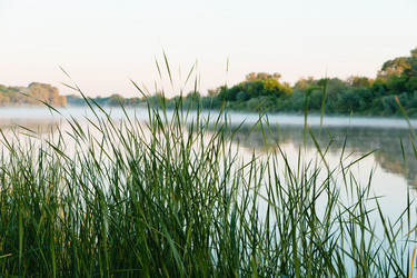 Similar image 13003558