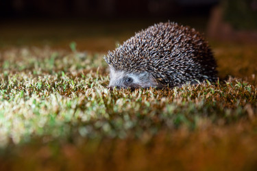 Similar image 13003559