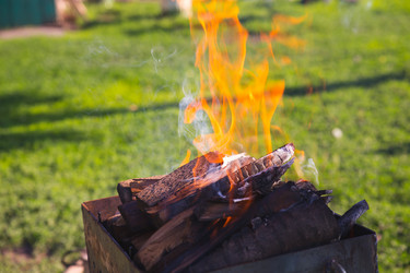 Similar image 13003560