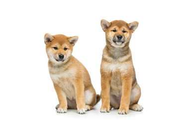 Similar image 13036176