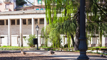 Similar image 13006807