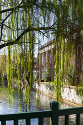 Similar image 13006814