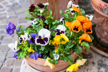 Similar image 13006852