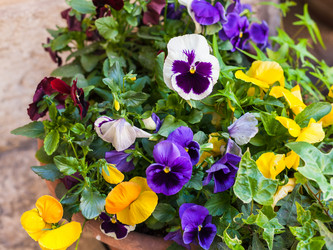 Similar image 13006853