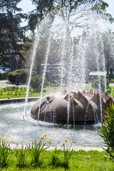 Similar image 13006865