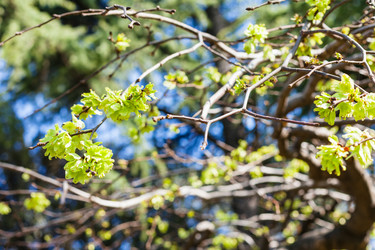 Similar image 13007033