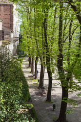 Similar image 13007051