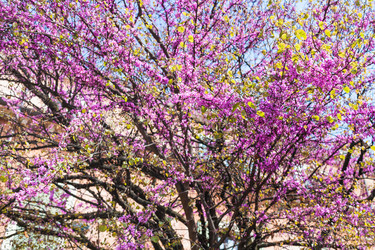 Similar image 13006589