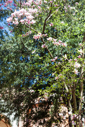 Similar image 13006611