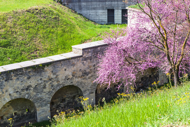 Similar image 13006793