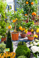 Similar image 13006897