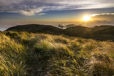 Similar image 13033698