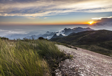 Similar image 13033699