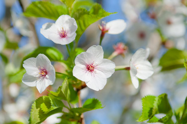 Similar image 13010675