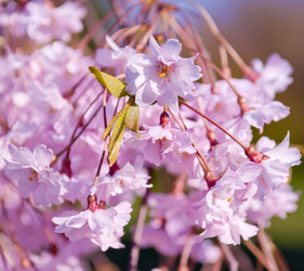 Similar image 13010676