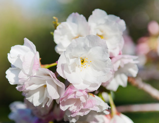 Similar image 13010677