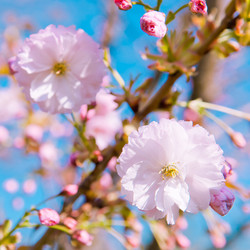 Similar image 13010678