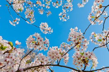 Similar image 13010679