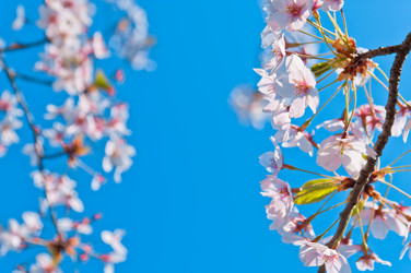 Similar image 13010681