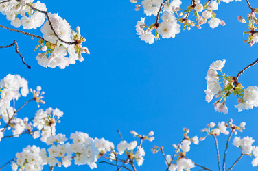 Similar image 13010693